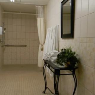A tiled bathroom featuring a shower area, mirror, and decorative towels.