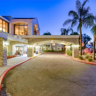 A well-lit hotel entrance with palm trees and modern architecture during the evening.