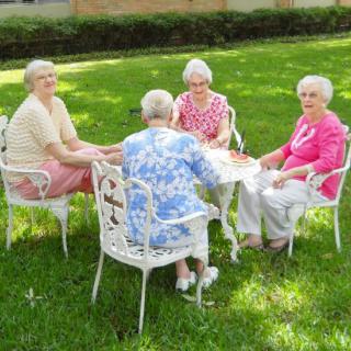 A group of elderly women sitting outdoors in a garden, enjoying a conversation.