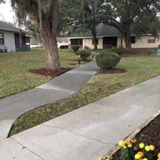A winding pathway through a well-kept lawn with trees and bushes in a residential area.