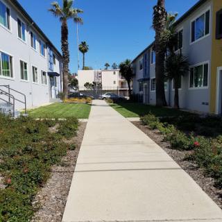 A serene walkway between apartment buildings lined with palm trees under a clear blue sky.