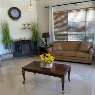 A cozy living room featuring a leather sofa, elegant coffee table, and lush greenery.