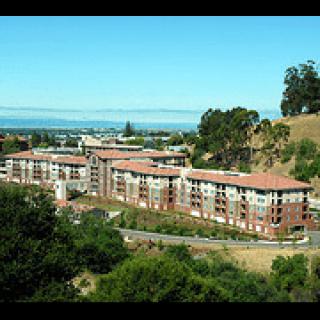 A hillside view of a large residential building complex surrounded by trees with a distant skyline.