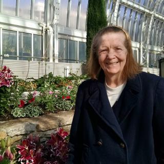 A person standing in a greenhouse surrounded by colorful flowers.