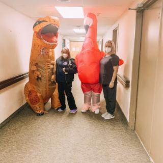 A playful moment with friends dressed in inflatable dinosaur and bird costumes in a hallway.