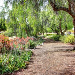 A scenic garden pathway surrounded by lush greenery and colorful flowers.
