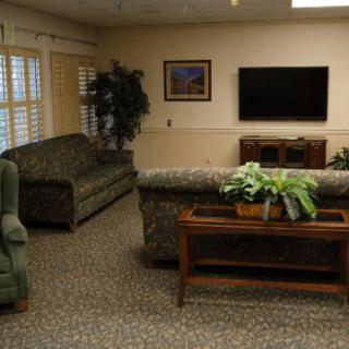 A cozy living room with sofas, a television, and indoor plants.