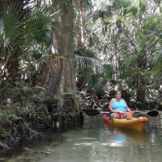 A serene kayaking experience in a lush, tropical waterway surrounded by greenery.