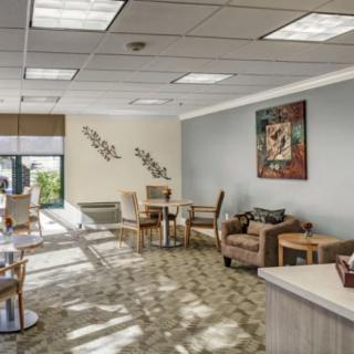 A cozy waiting room with comfortable seating, artwork on the walls, and natural lighting from large windows.