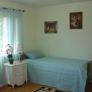 A cozy bedroom with a single bed and nightstand adorned with a lamp and an orchid plant.