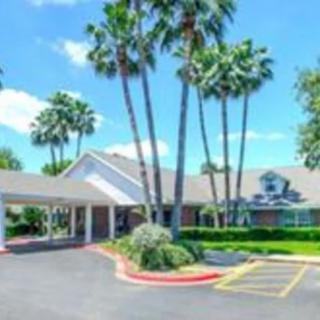 A sunny day at a hotel entrance with palm trees and a parking area.