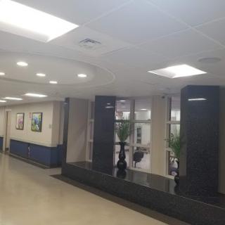 A modern lobby featuring clean lines, abundant lighting, and decorative plants.