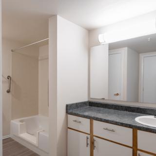 A modern bathroom featuring a countertop with a sink, large mirror, and a shower area.