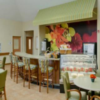 A cozy cafe with a counter, bar stools, and vibrant wall decoration.