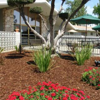 Dycora Transitional Health - Sanger