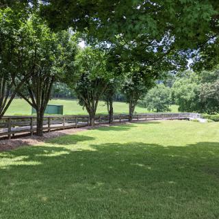 A serene park landscape featuring lush green grass and trees providing shade.