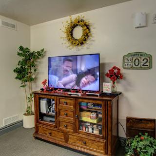 A cozy living room showcasing a wooden TV stand with a television displaying a scene, surrounded by decorative plants and wall art.