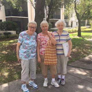 Three friends enjoying a sunny day together.