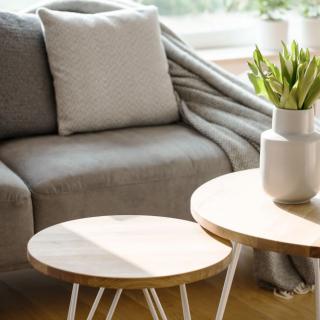 A cozy living room with a grey sofa, comfortable cushions, and a soft throw blanket. Two wooden coffee tables feature modern white legs and are adorned with a stylish vase and plants.