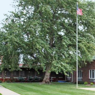 A brick building with a large tree and an American flag on a lawn.