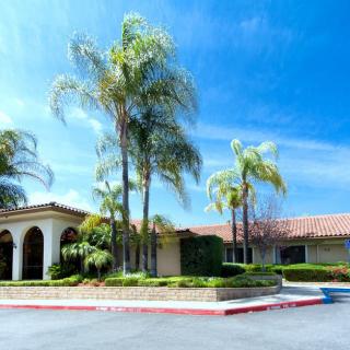 A sunny day at a building surrounded by palm trees and lush landscaping.