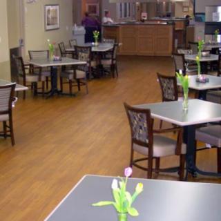An empty dining area with neatly arranged tables and chairs, each decorated with a small plant.
