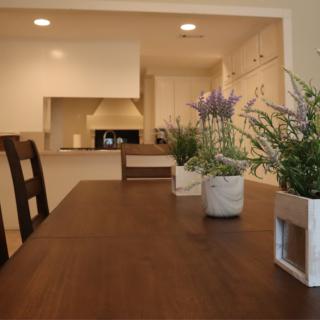 A cozy dining area with a wooden table and chairs, decorated with potted plants, leading into the kitchen.