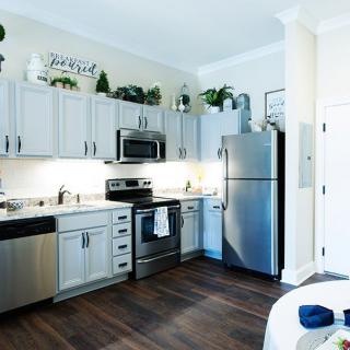 A modern kitchen with stainless steel appliances and decorative plants.