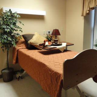 A well-decorated room featuring a neatly made bed with soft bedding, a bedside lamp, and a decorative plant.