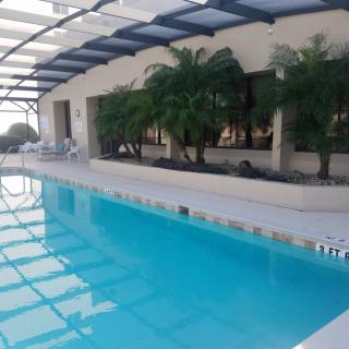 An inviting indoor swimming pool with a glass roof and tropical plants.