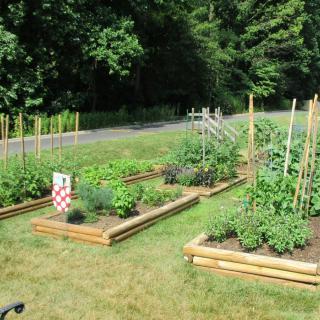 A scenic garden featuring raised beds filled with various plants and vegetables.