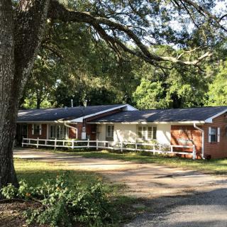 A ranch-style brick house surrounded by trees with a driveway in front.