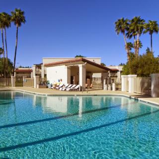 A serene resort pool surrounded by palm trees on a sunny day.