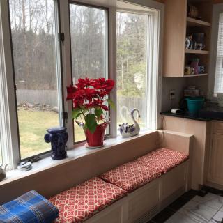 A cozy kitchen nook with a window seat adorned by cushions and an amaryllis plant on the windowsill, overlooking a scenic outdoor view.