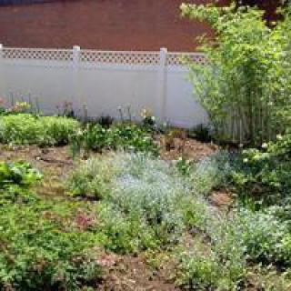 A well-maintained garden with various plants, bordered by a white fence.