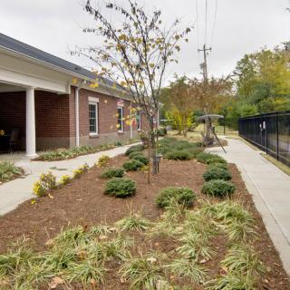 A well-maintained landscape with shrubs and trees alongside a building and sidewalk.
