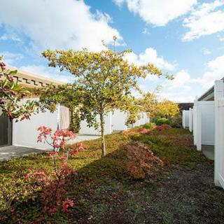 A tranquil garden pathway with autumn foliage under a partly cloudy sky.
