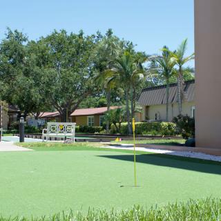 A sunny outdoor scene featuring a putting green, surrounded by palm trees and buildings.