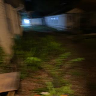 A dimly lit pathway surrounded by bushes and trees at night.