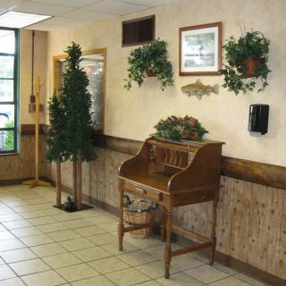 A lobby area with a wooden desk, decorative plants, and tiled flooring.