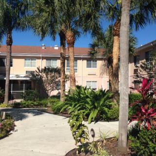 A tropical residential building surrounded by palm trees and vibrant landscaping.