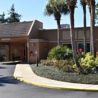A building entrance surrounded by palm trees and a landscaped driveway.