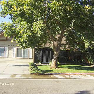 A suburban house with a large tree in the front yard on a sunny day.