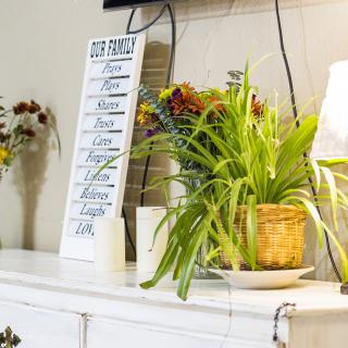 A cozy interior with a potted plant, decorative flowers, and a motivational sign.