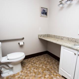 A clean and accessible bathroom with a toilet, sink, granite countertop, and handrail.