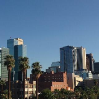 A view of skyscrapers and palm trees in a downtown area under a clear blue sky.