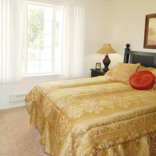 A cozy bedroom with a large bed, adorned in gold bedding, near a bright window.