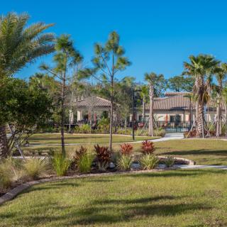 A beautiful house surrounded by a well-maintained garden with palm trees and lush grass.