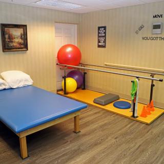 A physical therapy room equipped with a therapy table, exercise balls, and parallel bars.