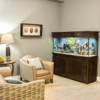 A cozy waiting room with comfortable chairs, an aquarium, and tasteful decor.